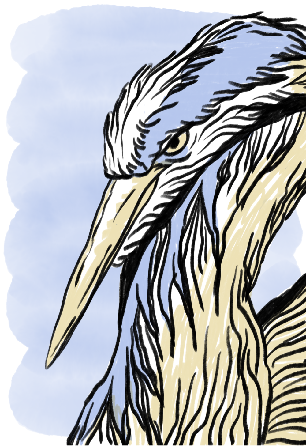Héron illustration