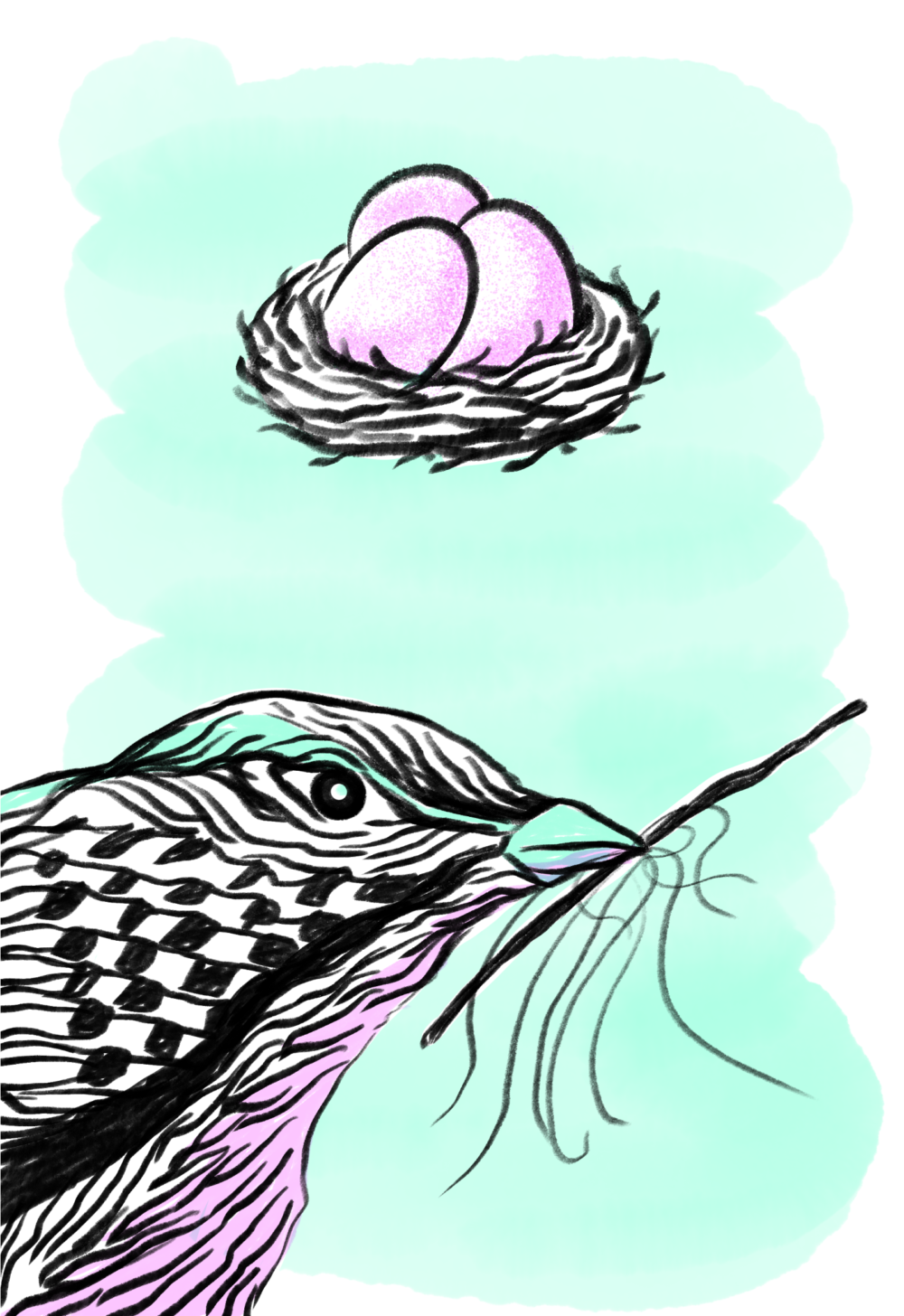 Oiseau illustration